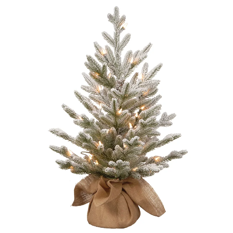 2.5 ft. Pre-Lit Snowy Cambridge Fir Tree with White LED Lights