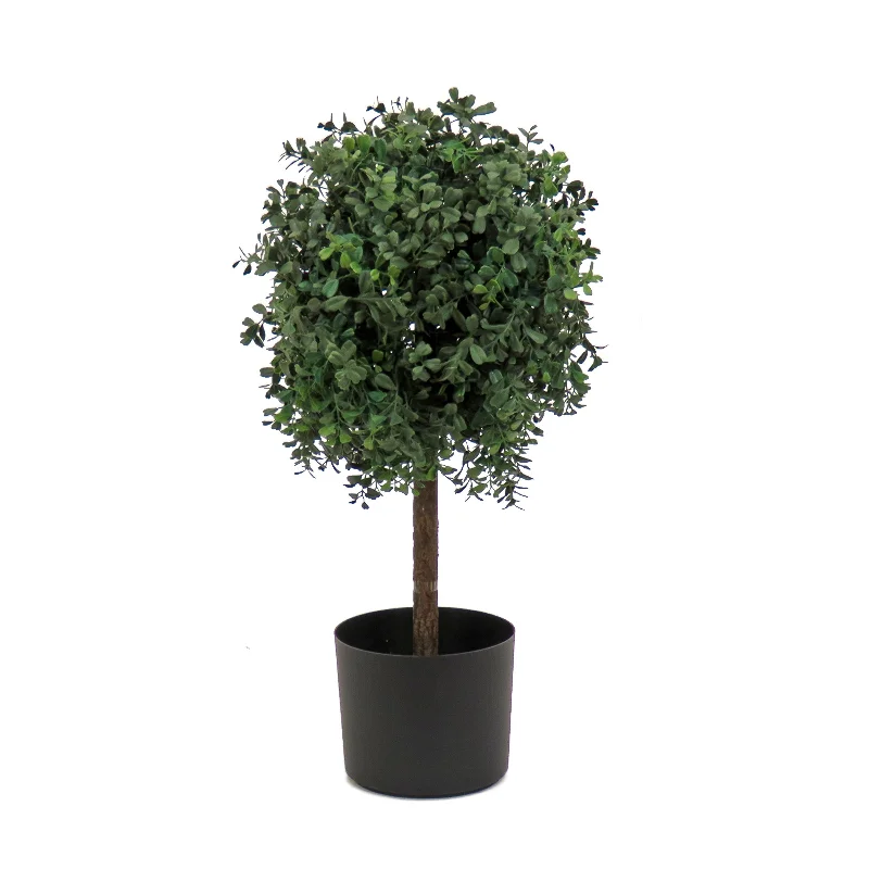 2 ft. Boxwood Single Ball Topiary in Nursery Pot