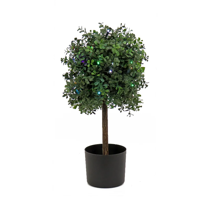 2 ft. Boxwood Single Ball Topiary with Multi-Function LED Lights