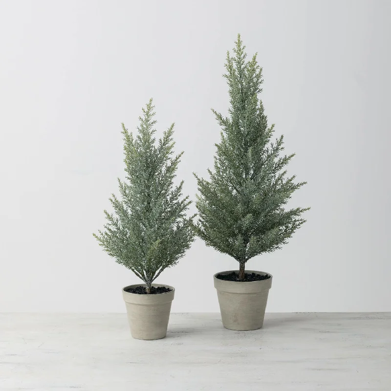 Tabletop Cedar Tree Set Of 2