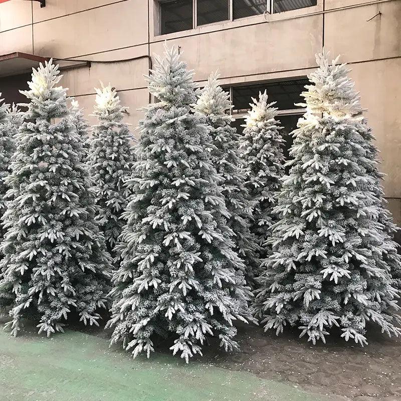 Tree As Shown